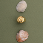 Bruce & Co Calypso – Nautilus Spiral Signet Ring