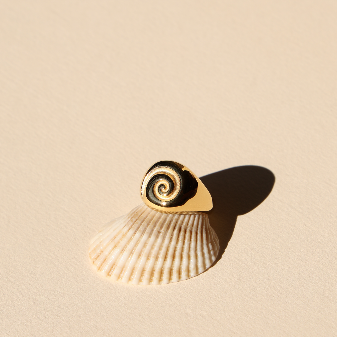 Bruce & Co Calypso – Nautilus Spiral Signet Ring