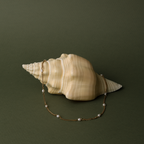 Bruce & Co Freshwater Pearl Station Choker, 37 cm