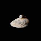 Bruce & Co Round Mother-of-Pearl Signet Ring