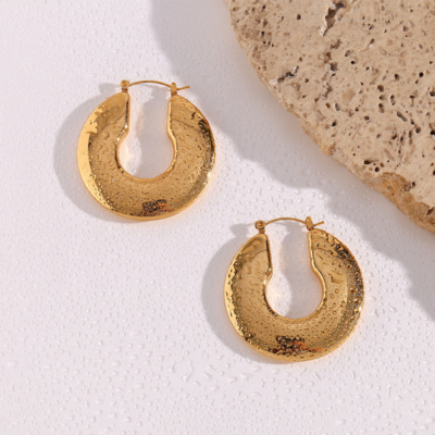 Bruce & Co Lille – Broad Disc Hoop Earrings