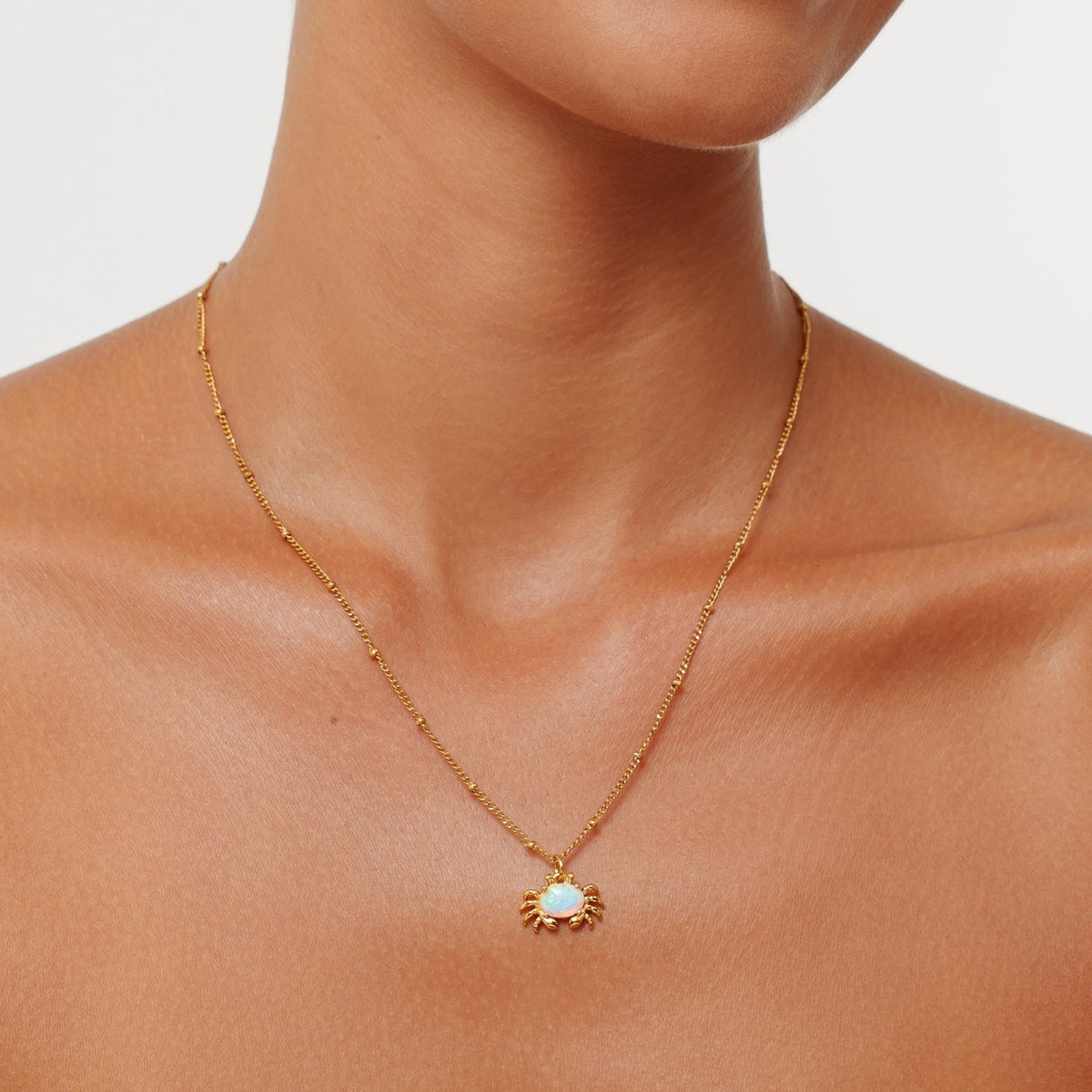 Bruce & Co Opal Crab Pendant Necklace, Stainless Steel