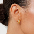 Bruce & Co Nautilus Spiral Earrings, 18K Gold PVD Stainless Steel