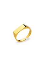 Bruce & Co Rectangular Signet Ring, 14K Gold-Plated Steel, Adjustable