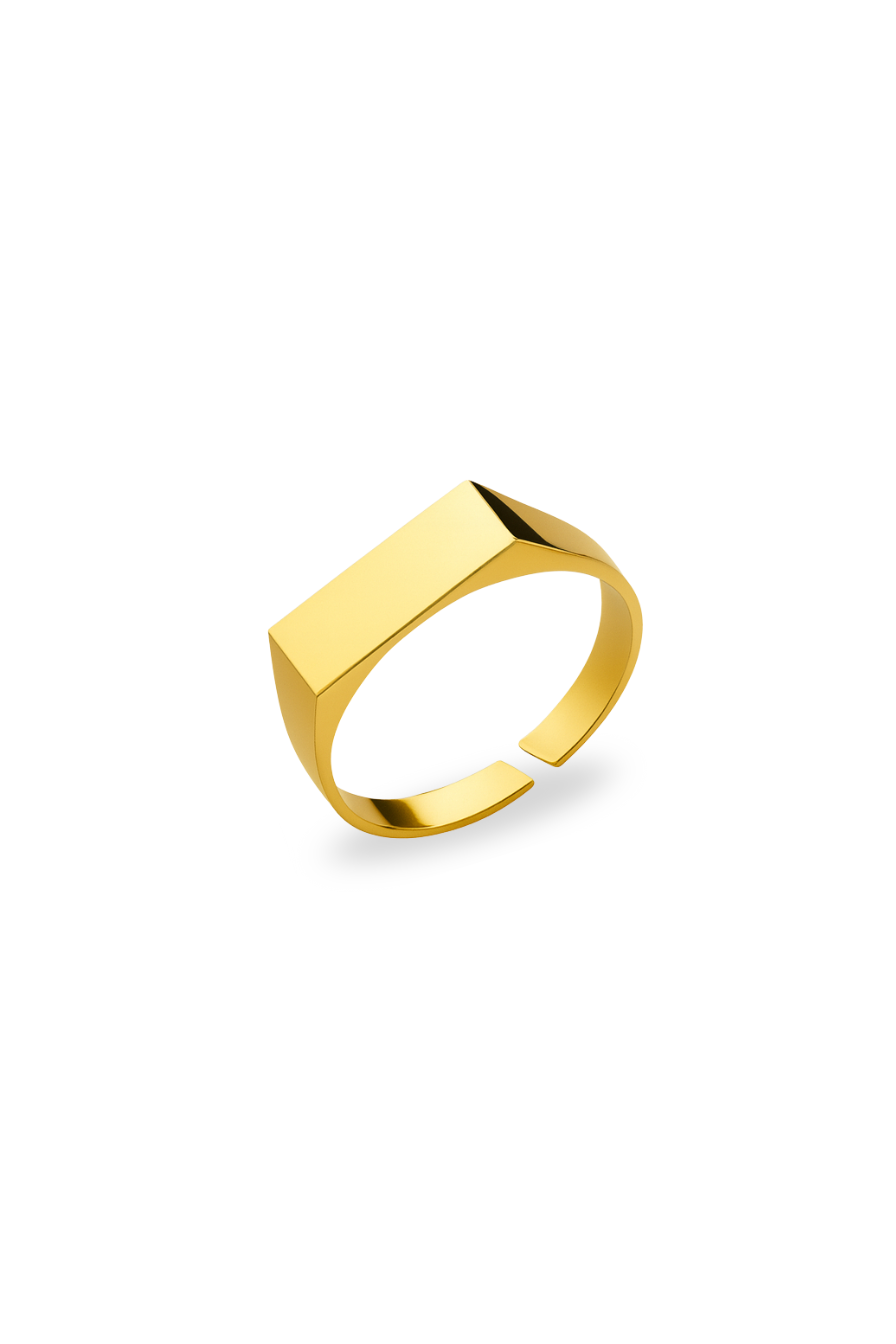 Bruce & Co Rectangular Signet Ring, 14K Gold-Plated Steel, Adjustable
