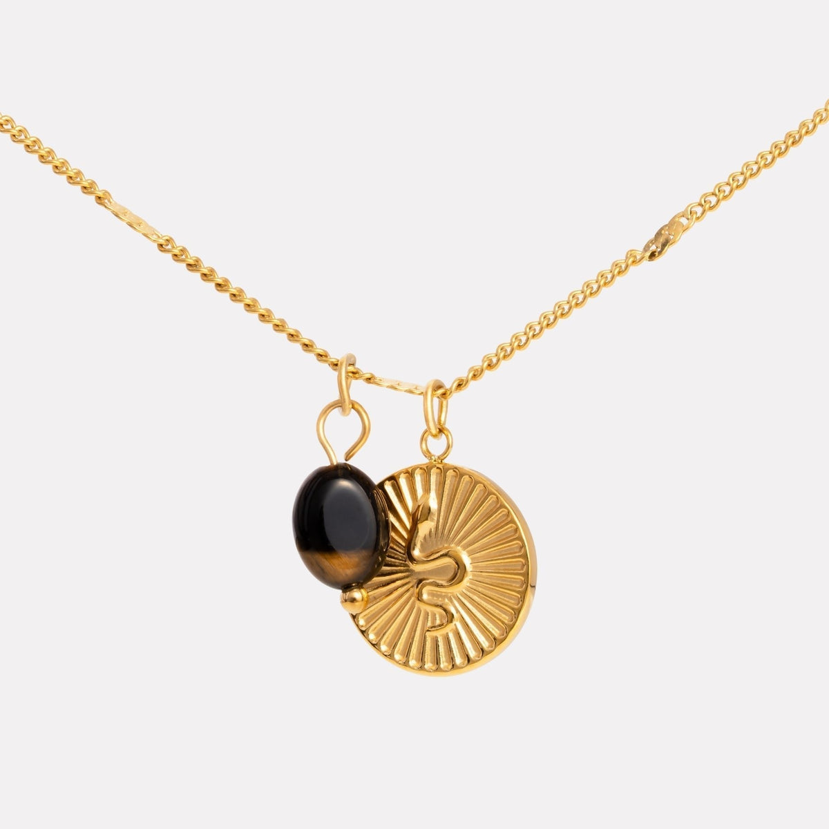 Bruce & Co Snake Coin and Tiger Eye Necklace, Steel