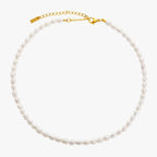 Bruce & Co Freshwater Pearl Choker, 6 mm, 36–42 cm