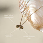 Bruce & Co Sun Shell and Freshwater Pearl Necklace
