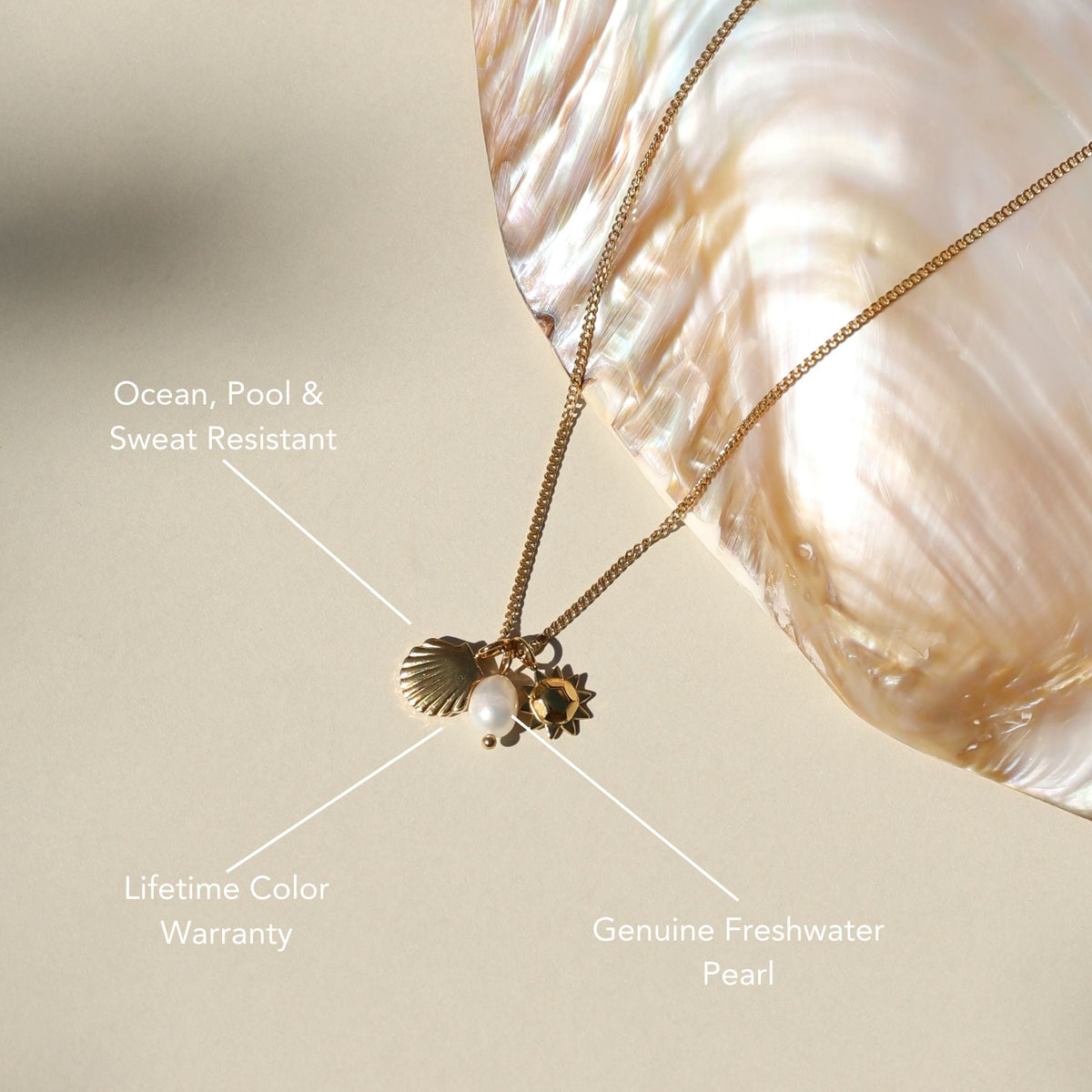 Bruce & Co Sun Shell and Freshwater Pearl Necklace