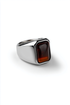 Bruce & Co Terra – Men’s Tiger's Eye Signet Ring, Stainless Steel