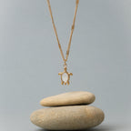 Bruce & Co Guardian – Mother of Pearl Turtle Necklace