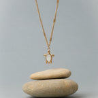 Bruce & Co Guardian – Mother of Pearl Turtle Necklace